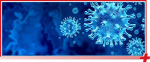 Coronavirus (COVID-19) Testing Near Me in Bulverde Rd San Antonio TX, Bastrop TX, Alamo Ranch San Antonio TX, La Grange TX, Leon Springs San Antonio TX, New Braunfels TX, Potranco Road San Antonio TX, Dripping Springs TX, Lemon Creek Boerne TX, and Belle Chasse LA. Coronavirus (COVID-19) Testing Near Me in Bulverde Rd San Antonio TX, Bastrop TX, Alamo Ranch San Antonio TX, La Grange TX, Leon Springs San Antonio TX, New Braunfels TX, Potranco Road San Antonio TX, Dripping Springs TX, Lemon Creek Boerne TX, and Belle Chasse LA.